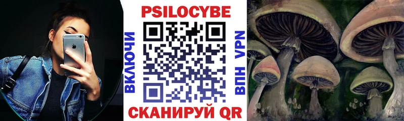 Псилоцибиновые грибы Psilocybe  купить наркотики цена  Электрогорск 